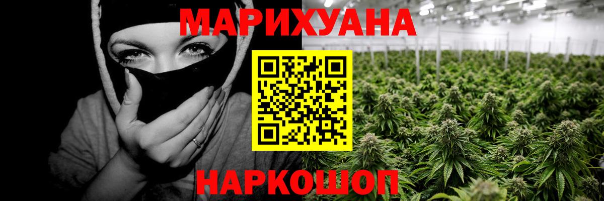 Сыктывкар  Марихуана тримм  Бошки марихуана Bruce Banner  Вход с VPN  Конопля марихуана 