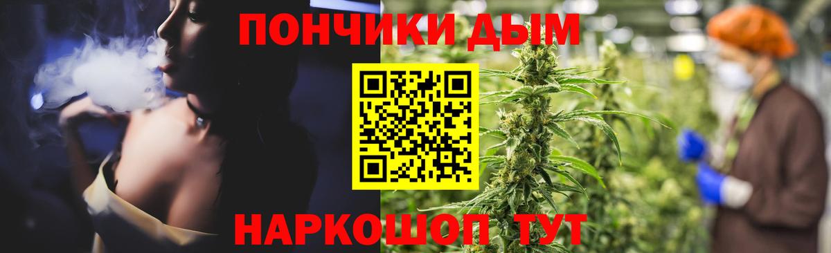 Канабис гибрид Сыктывкар